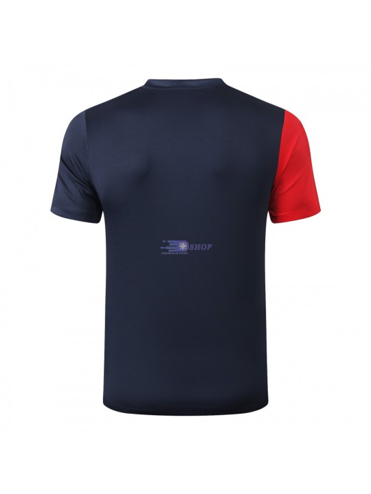 Camiseta de Entrenamiento Francia 2020/2021 Negro Royado